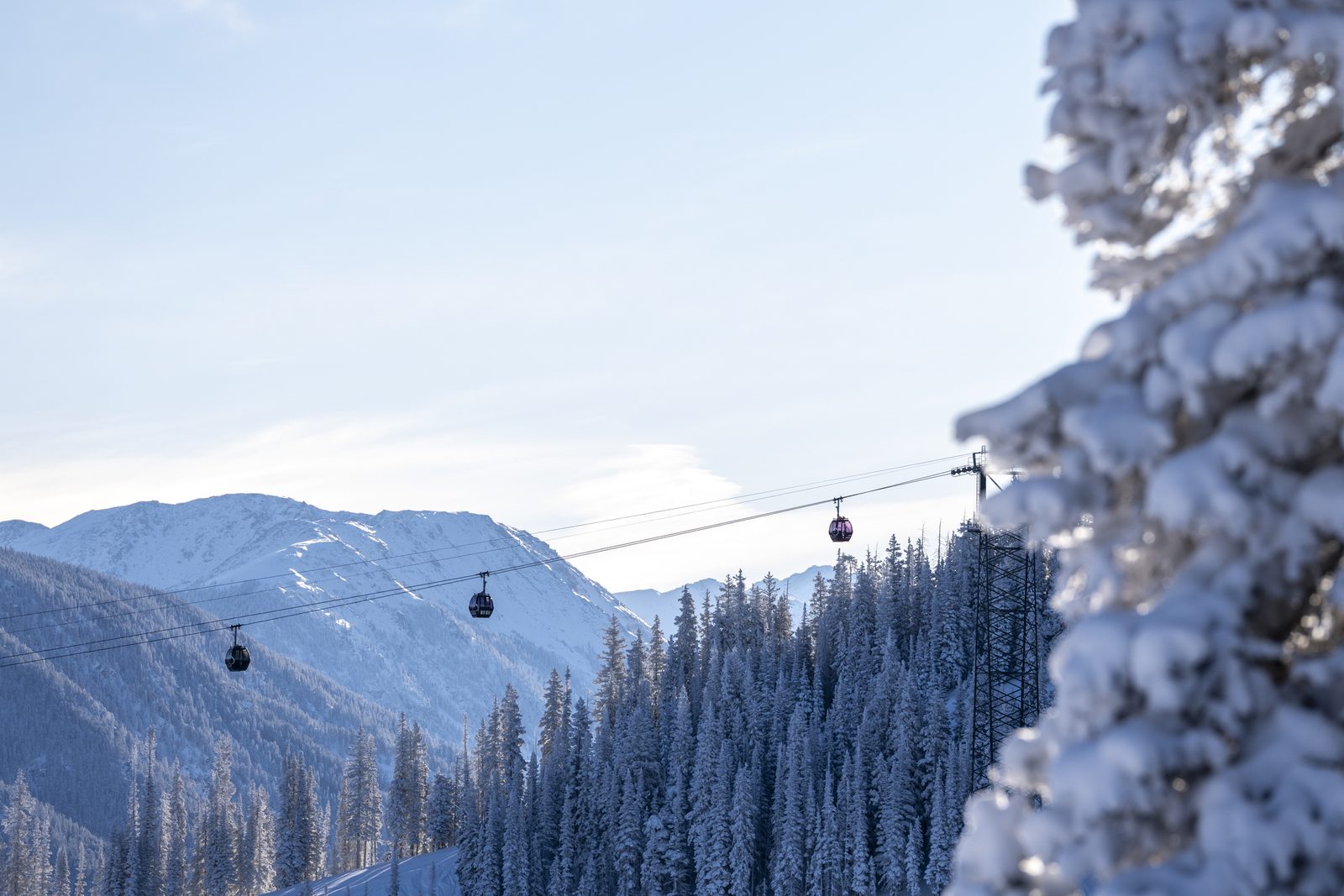 Cabinas de la telecabina de Aspen entre arboles nevados